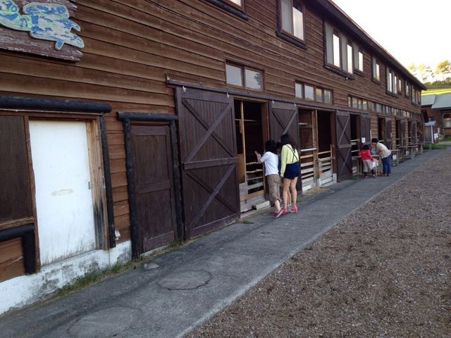 ホピヒルズファームの写真1