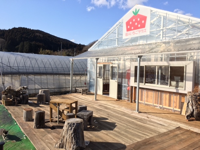 田人観光いちご園
