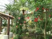 岩手県立花きセンターの写真2