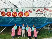 大町さくらんぼ園の写真2