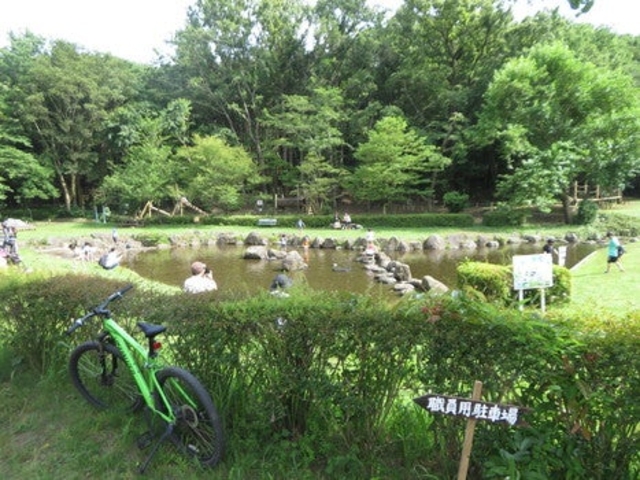 少年の森