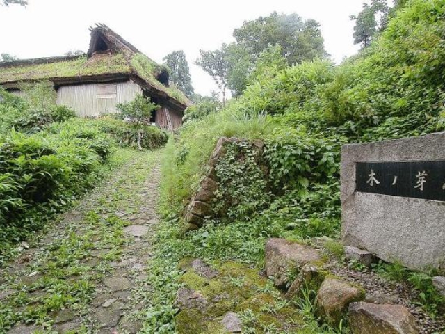 木ノ芽峠の写真1