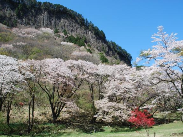 屏風岩公苑の写真1