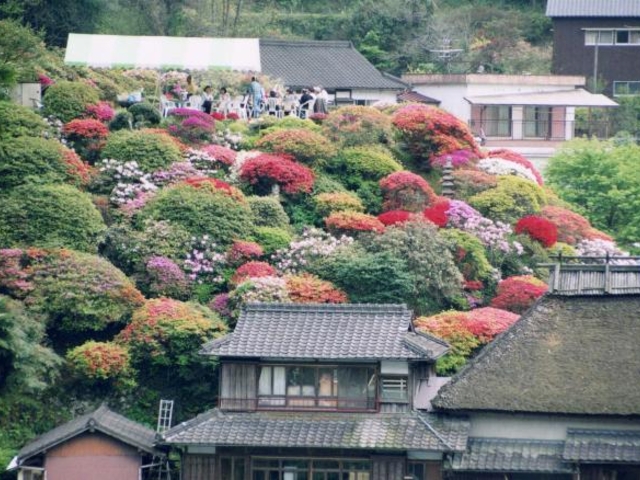 佐藤家つつじ園「さんだい」の写真1