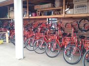 佐倉市レンタサイクルの写真1