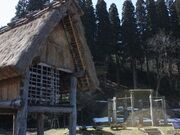 桜町JOMONパーク出土品展示室の写真2