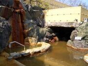 半田天然温泉 まるはごんぎつねの湯の写真4