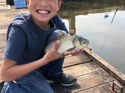 釣り堀佐屋川の写真2