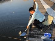 釣り堀佐屋川の写真4