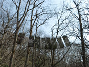 YMCA呼子高原センター・キャンプ場の写真2