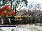 吉井百年公園の写真1