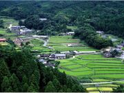 竹地区の棚田の写真1