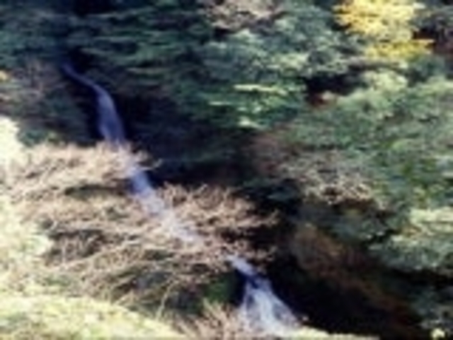 千八尋の滝の写真1