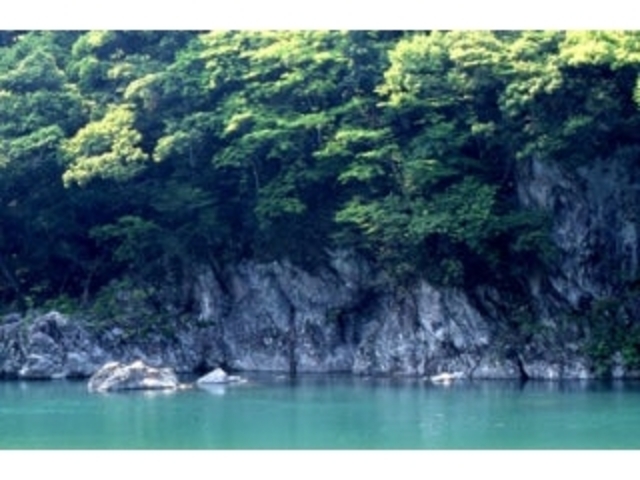 大魚渓の写真1