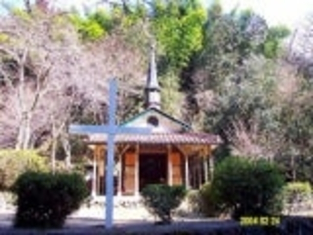 乙女峠マリア聖堂/さくらの写真1