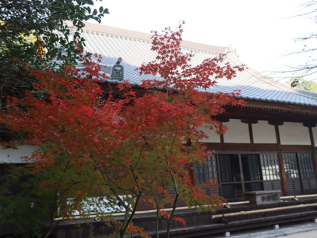 両足寺/もみじ