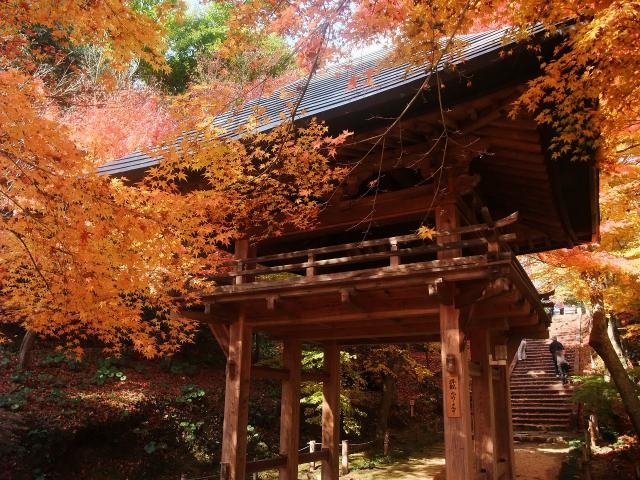 両足寺_両足寺/もみじ