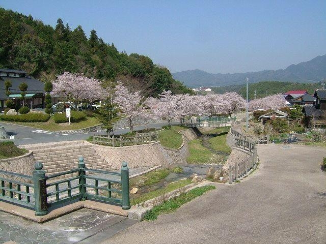 東繕寺川河川公園/さくらの写真1