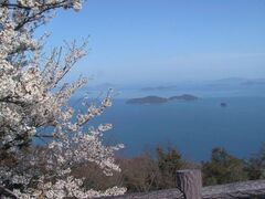 銭壺山/さくらの写真1