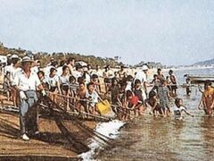 室積観光地引網の写真1