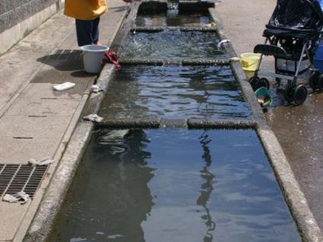 神泉の水の写真1