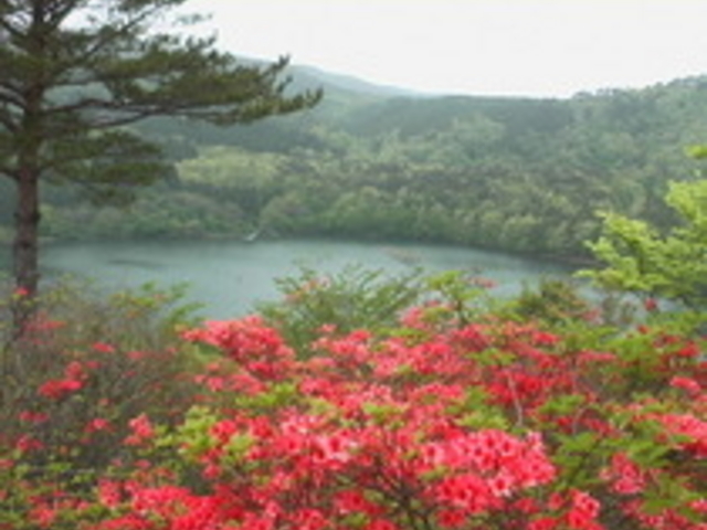 土湯つつじ山公園