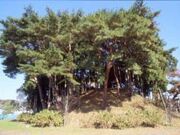 浮島(浮島神社)の写真1