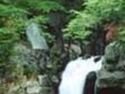 思いの滝の写真2