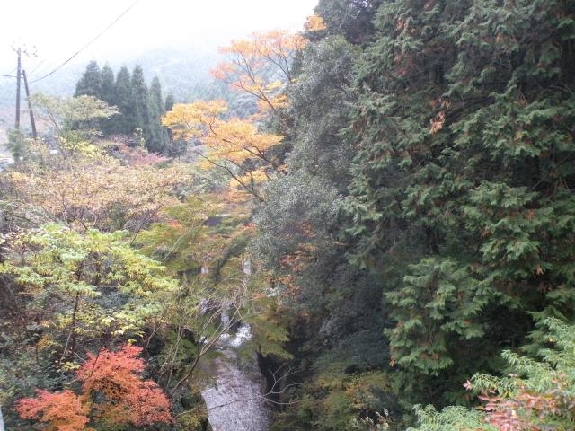 平谷の紅葉の写真1