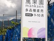 ぶどう直売の萬果園の写真2