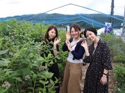 ブルーベリー百瀬園の写真2