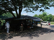 長原農園の写真2