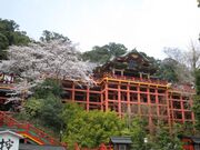 祐徳稲荷神社の桜の写真1
