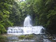 森林セラピー体験の写真1