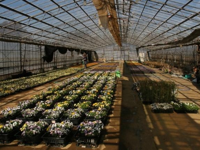 グリーンメイト佐久間の写真1