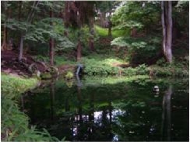「信州の名水・秘水」 大沼の池の湧水の写真1