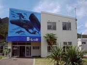 B-しっぷ(商工観光会館)の写真1
