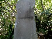 小笠原新治碑の写真1