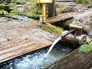 「信州の名水・秘水」 阿寺渓谷「美顔水」の写真3