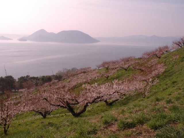 壮瞥公園と果樹園コースの写真1