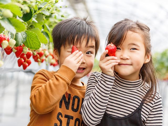 お子さんも大満足間違いなし★_いちご園フェリーチェ