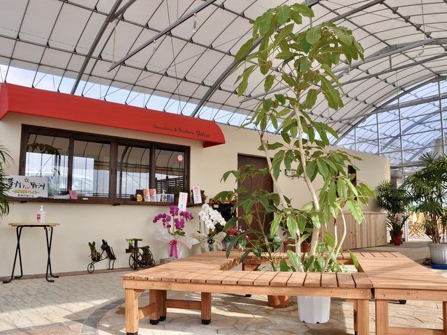 こちらが受付になります!_いちご園フェリーチェ