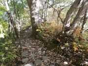 明治新山(四十三山)コースの写真1