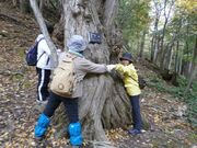 中島1周探検コースの写真1