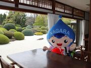 和食処翠州亭の写真1