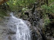 弁財天の滝の写真1