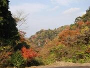 鹿倉の景の写真1