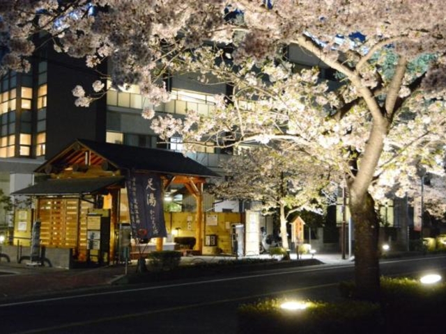 尾張温泉通り 足湯かにえの郷とJR蟹江駅北藤丸団地用水付近桜ライトアップの写真1