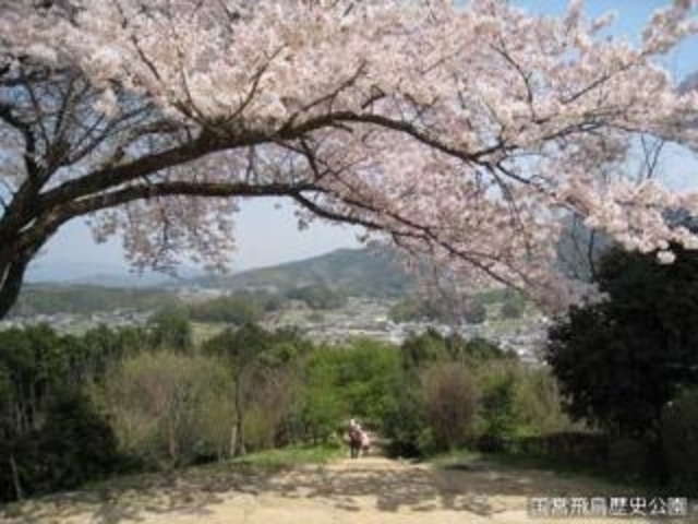 国営飛鳥歴史公園甘樫丘地区の写真1