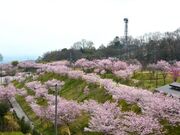 スマイルランド 竜田古道の里山公園の写真1